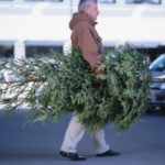 IKEAの本物の木のクリスマスツリー2,499円　回収期間に返すと同額のクーポンが貰えて実質無料